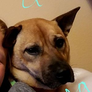 Meet your Posher, Lauryn